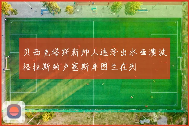 贝西克塔斯新帅人选浮出水面澳波格拉斯纳卢塞斯库图兰在列