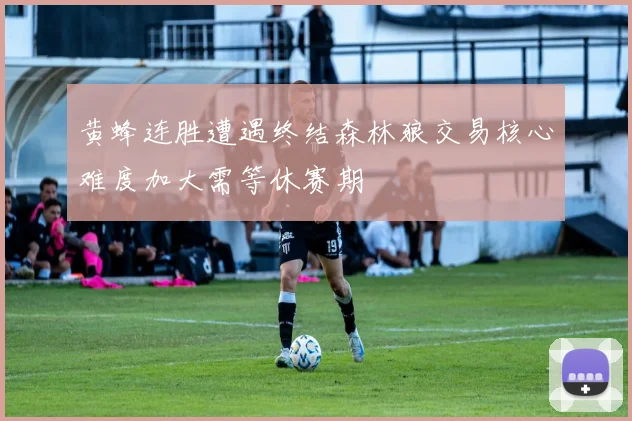 黄蜂连胜遭遇终结森林狼交易核心难度加大需等休赛期
